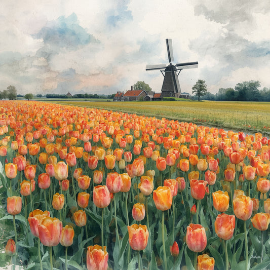 Aquarel schilderij van weids oranje tulpenveld met historische windmolen en boerderij onder dramatische bewolkte lucht in typisch Nederlands polderlandschap – bloemen wall art print
