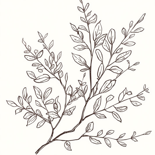 Delicaat botanische takken schets canvas schilderij met fijne vertakte takken en kleine blaadjes in line art stijl op witte achtergrond — hal wanddecoratie
