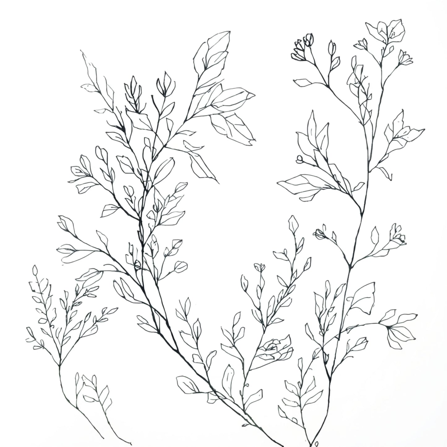 Elegante botanische takken canvas schilderij met fijne bloesemtakken op witte achtergrond voor de hal. Nu online kopen. Snel geleverd!
