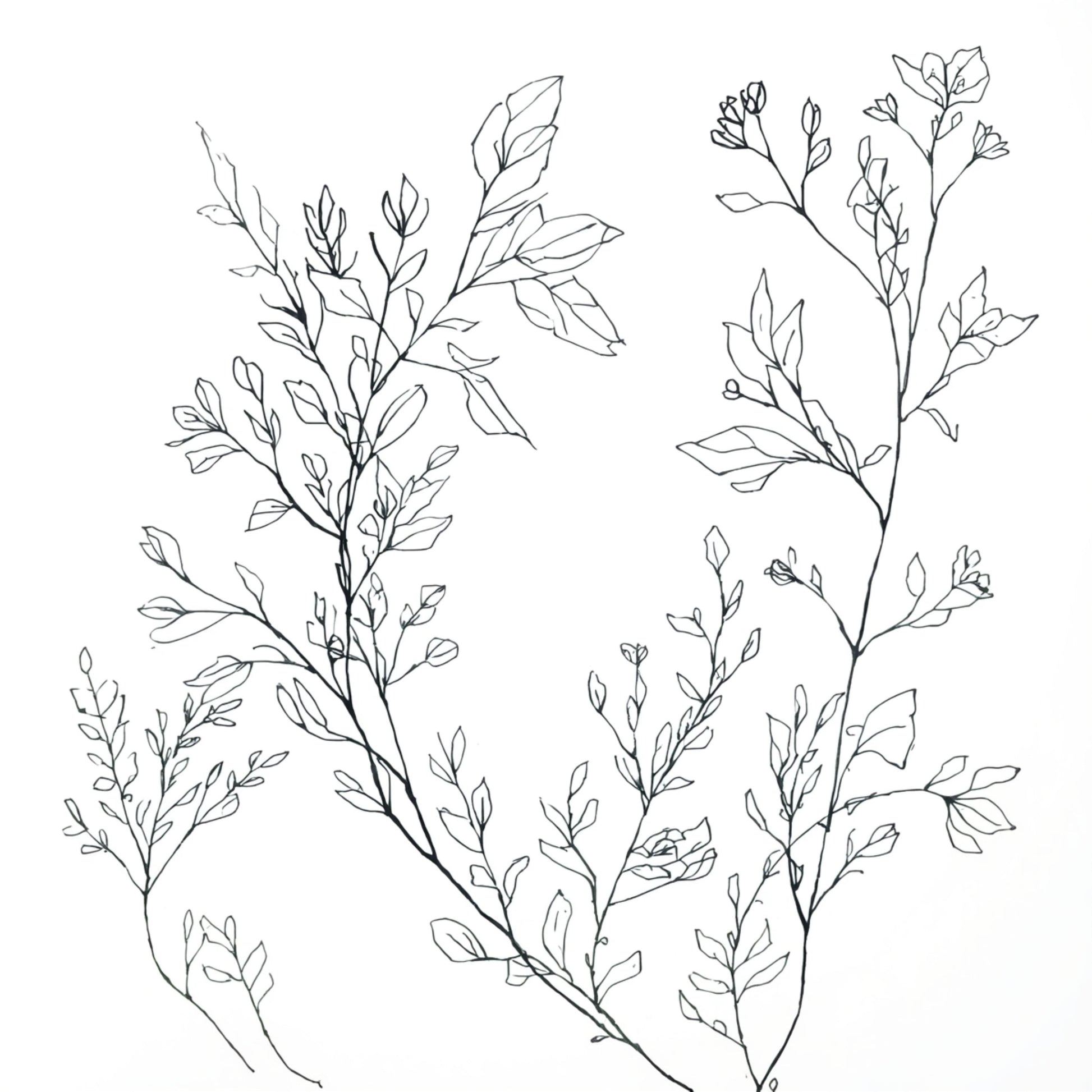Elegante botanische takken canvas schilderij met fijne bloesemtakken op witte achtergrond voor de hal. Nu online kopen. Snel geleverd!
