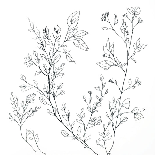 Elegante botanische takken canvas schilderij met fijne bloesemtakken op witte achtergrond voor de hal. Nu online kopen. Snel geleverd!

