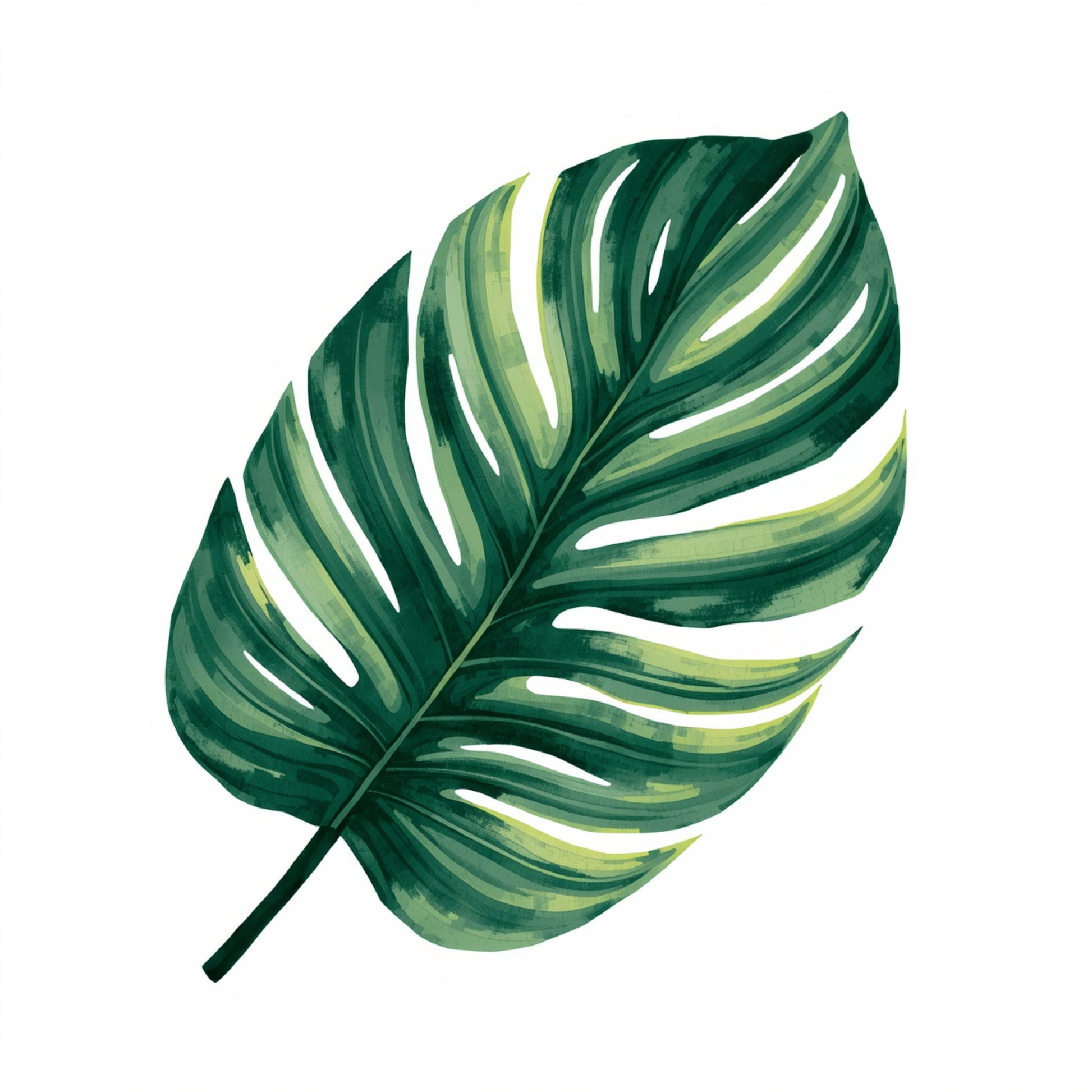 Monstera blad schilderij met groot weelderig groen monstera blad met witte strepen en karakteristieke inkepingen op witte achtergrond – botanisch aquarel wall art print
