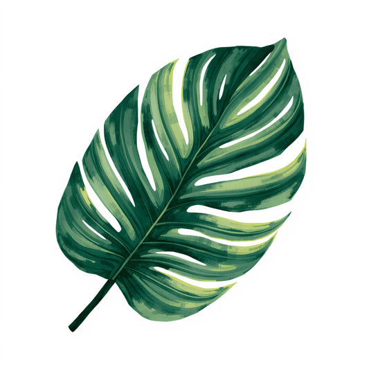 Monstera blad schilderij met groot weelderig groen monstera blad met witte strepen en karakteristieke inkepingen op witte achtergrond – botanisch aquarel wall art print
