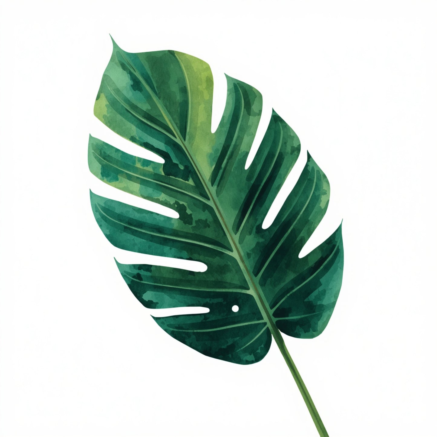 Monstera blad schilderij met groot weelderig donkergroen monstera blad met karakteristieke inkepingen en sierlijke bladnerven op strakke witte achtergrond – botanisch aquarel wall art print
