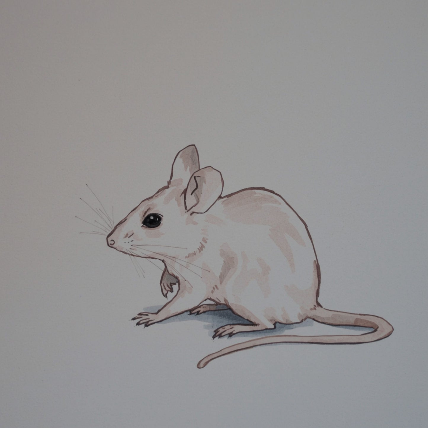 Minimalistisch muisje canvas schilderij in fijne potloodschets op zachte grijze achtergrond — babykamer wanddecoratie
