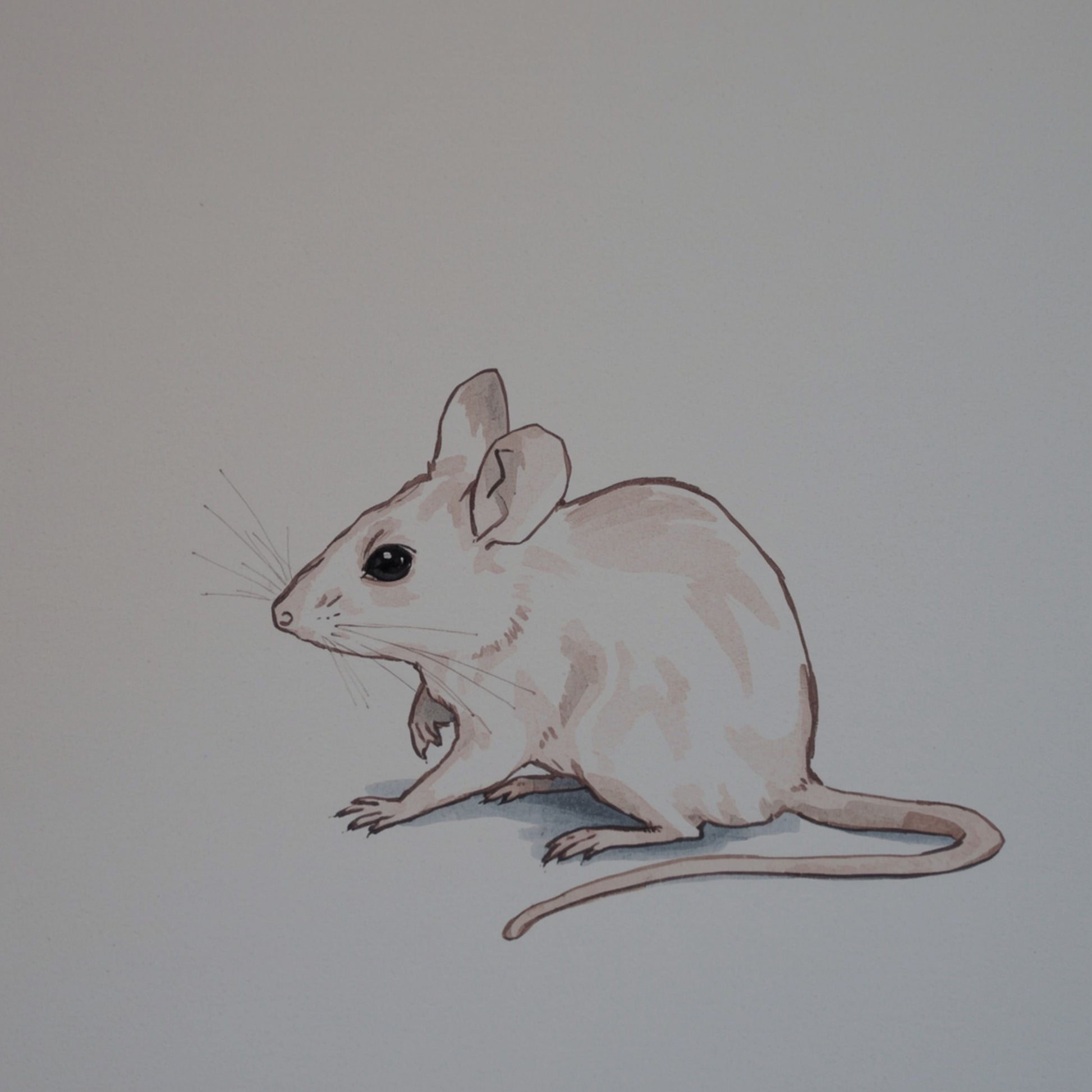 Minimalistisch muisje canvas schilderij in fijne potloodschets op zachte grijze achtergrond — babykamer wanddecoratie
