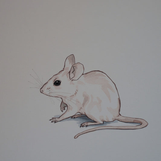 Minimalistisch muisje canvas schilderij in fijne potloodschets op zachte grijze achtergrond — babykamer wanddecoratie

