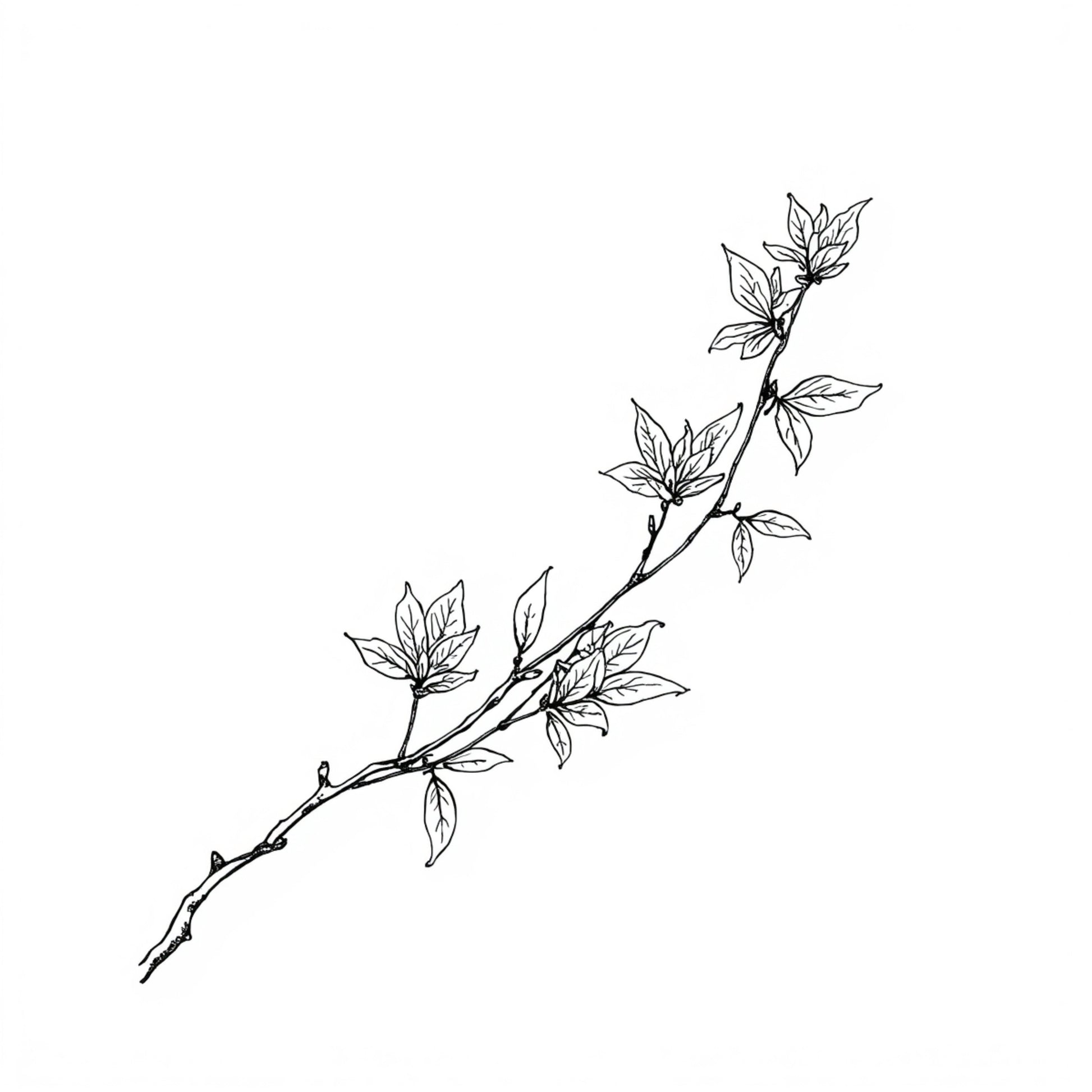 Botanisch schilderij met fijne zwarte magnoliatak met delicate witte bloesems en knoppen in diagonale compositie op helder wit fond – elegant tijdloos wall art print voor de logeerkamer
