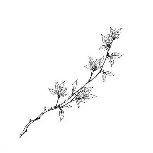 Botanisch schilderij met fijne zwarte magnoliatak met delicate witte bloesems en knoppen in diagonale compositie op helder wit fond – elegant tijdloos wall art print voor de logeerkamer
