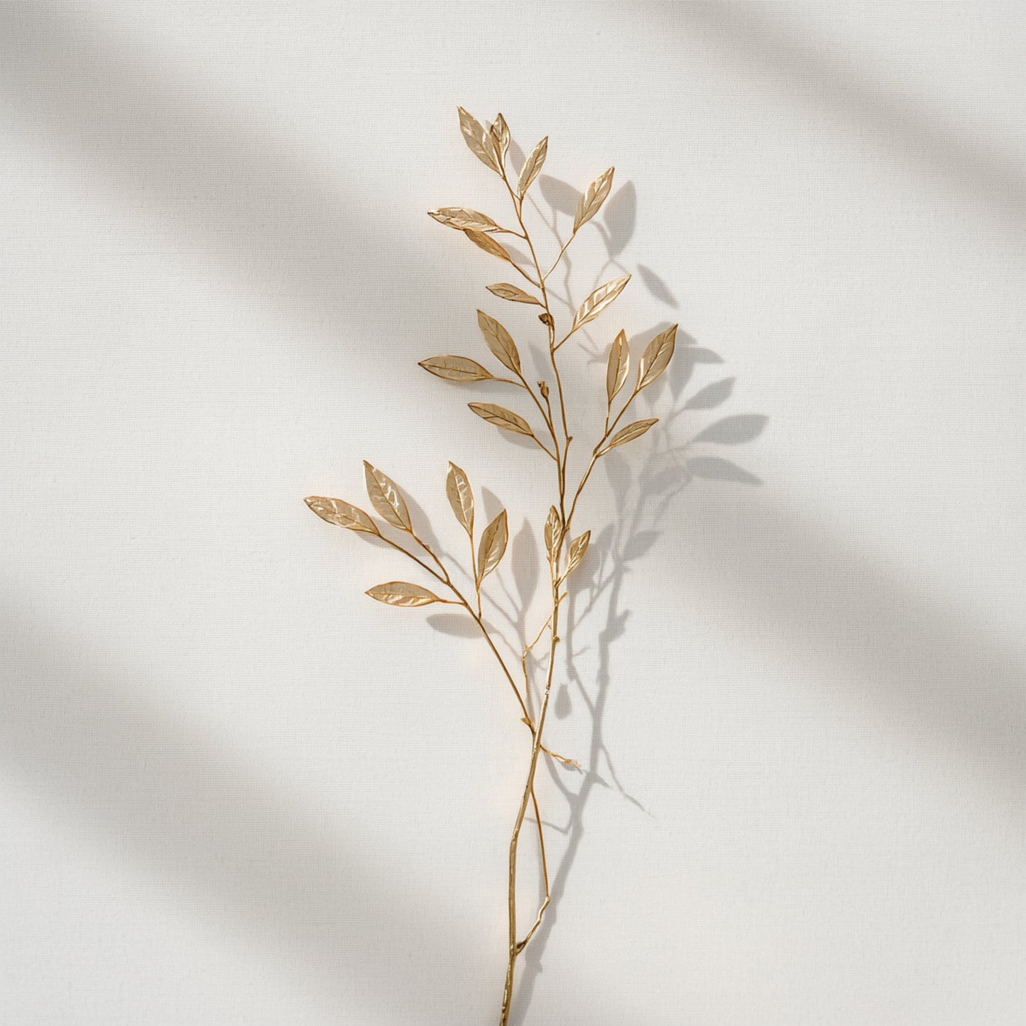 Botanisch schilderij met droge beige olijftakken met kleine blaadjes en subtiel schaduwspel op helder wit fond – sereen naturel wall art print voor de logeerkamer
