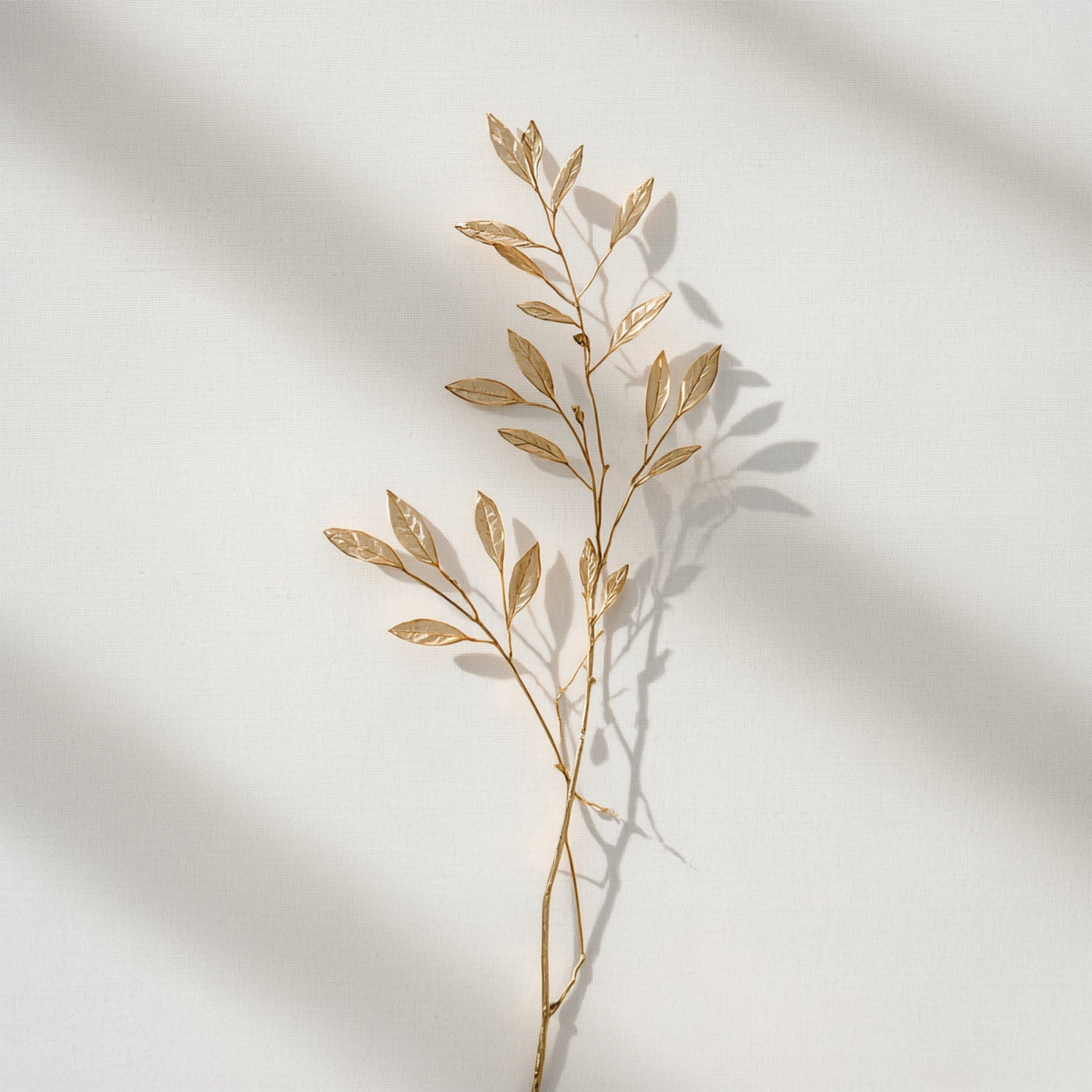 Botanisch schilderij met droge beige olijftakken met kleine blaadjes en subtiel schaduwspel op helder wit fond – sereen naturel wall art print voor de logeerkamer
