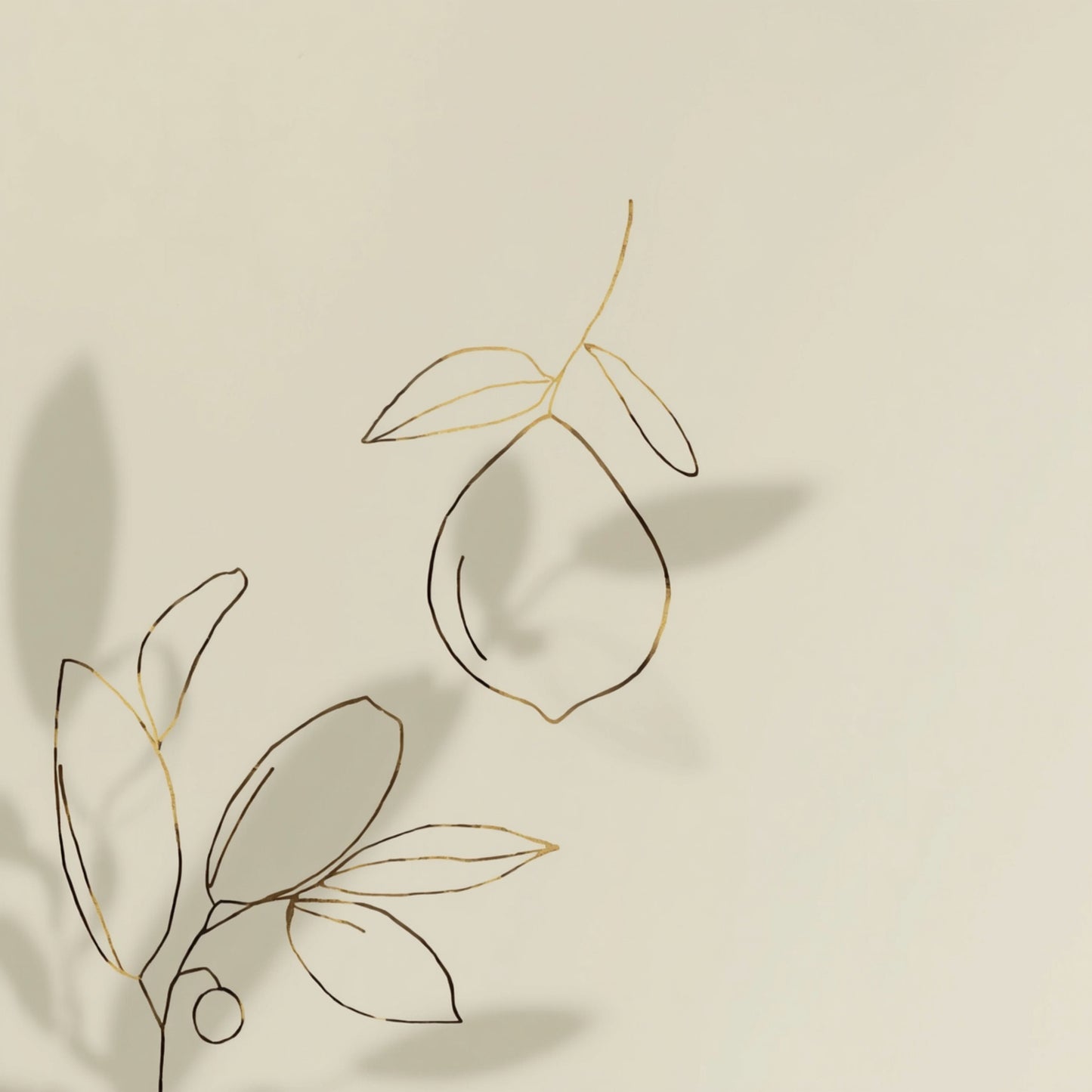 Minimalistisch citrusfruit lijn tekening canvas schilderij met sinaasappel en botanische bladeren in fijne grijze lijnen op witte achtergrond — keuken wanddecoratie
