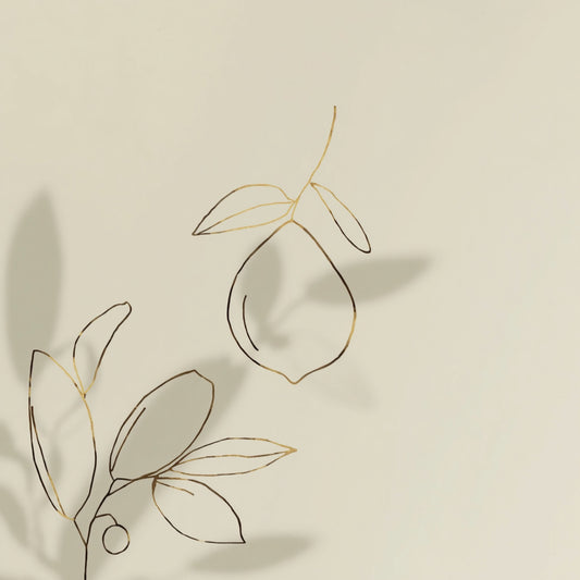 Minimalistisch citrusfruit lijn tekening canvas schilderij met sinaasappel en botanische bladeren in fijne grijze lijnen op witte achtergrond — keuken wanddecoratie
